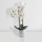 Faux White Orchid Artificial Plant in White Ceramic Pot (2 Pack)